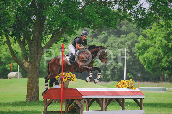 RWP_0295