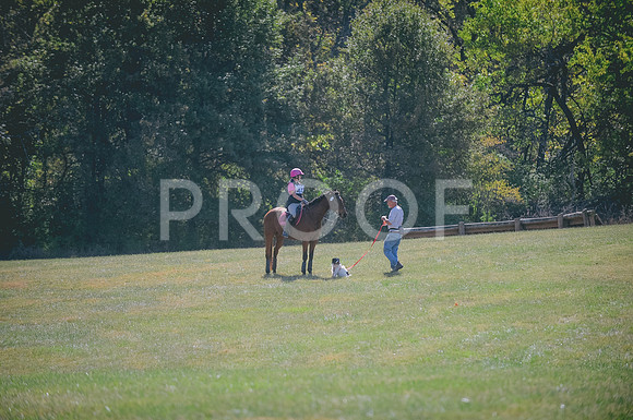 JJS_5364A