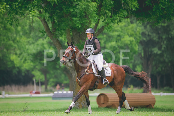 RWP_2040