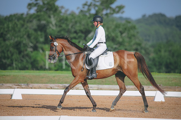 RWP_4485