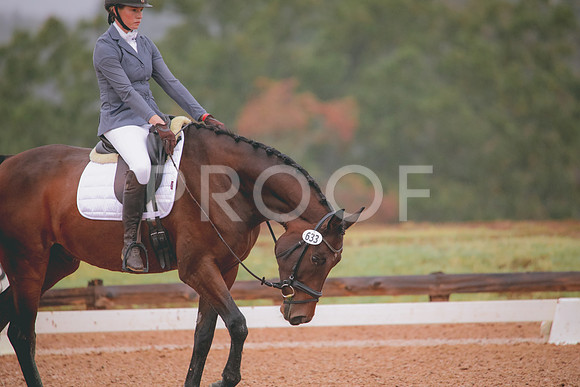 RWP_1073