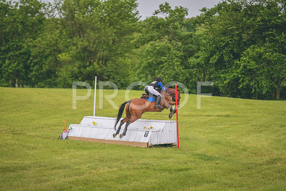 DSC_5333 copy