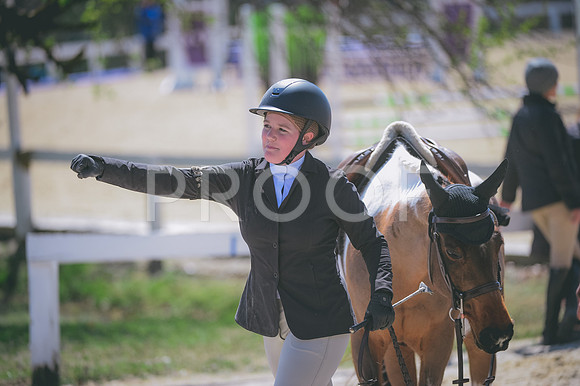 JJS_6178