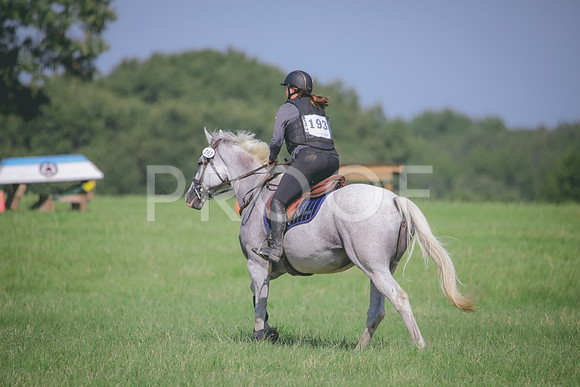 RWP_6395