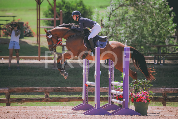 RWP_5196