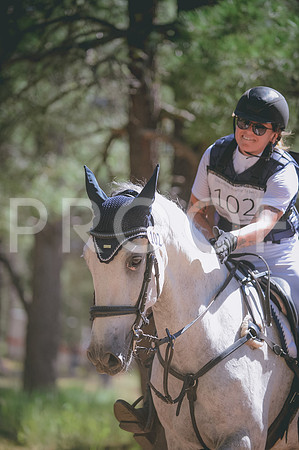 JJS_2962