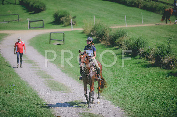 JJS_3881