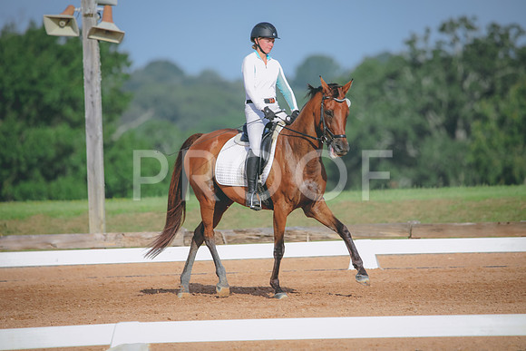RWP_4479