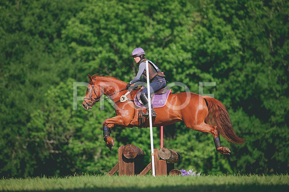 RWP_3342