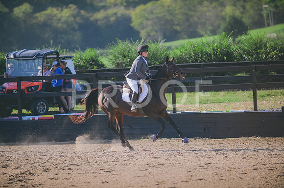 JJS_7422