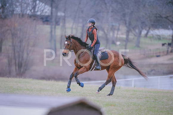 JJS_1383