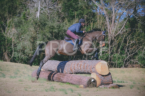 JJS_0181