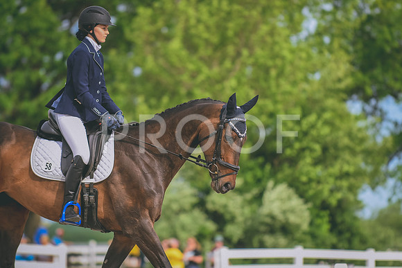 DSC_0013 copy