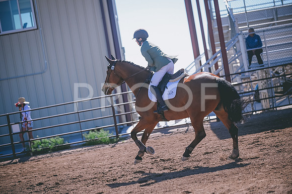 DSC_1793A