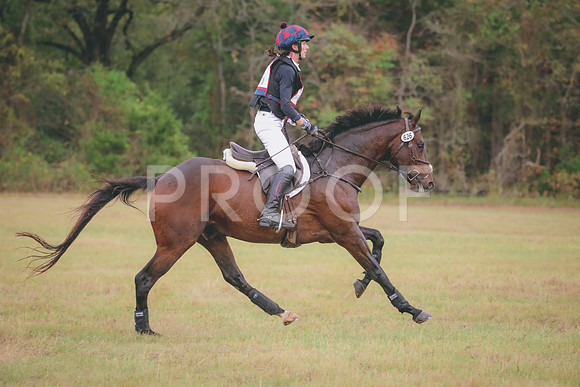 RWP_2856