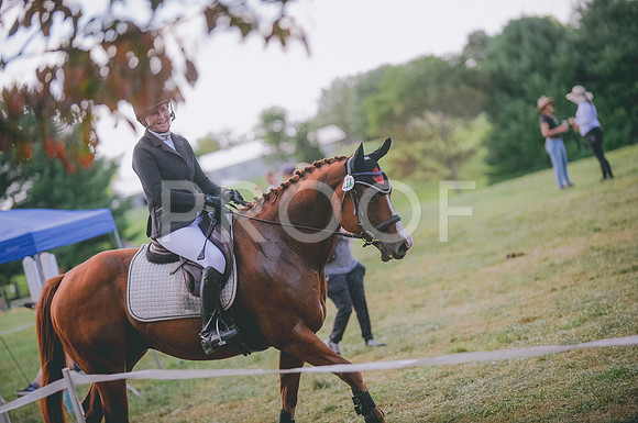 JJS_3345