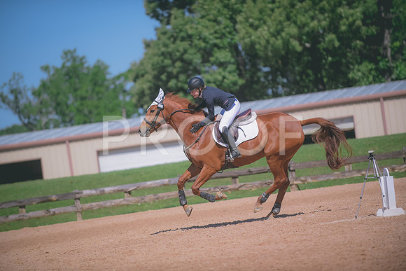 _DSC7506