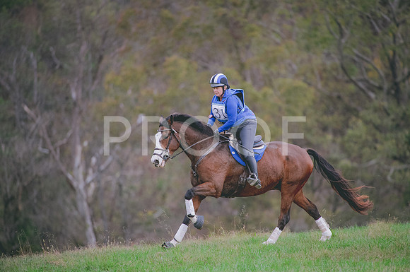 JJS_0738