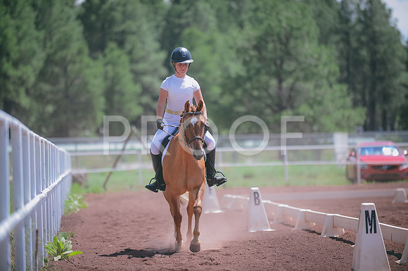 JJS_0635A