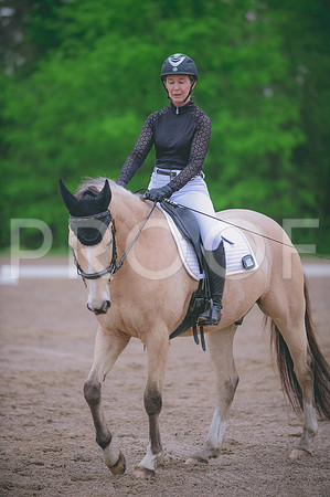 JJS_5341