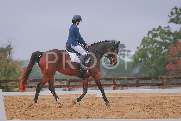 861A7741