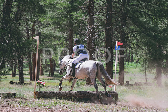 DSC_1211