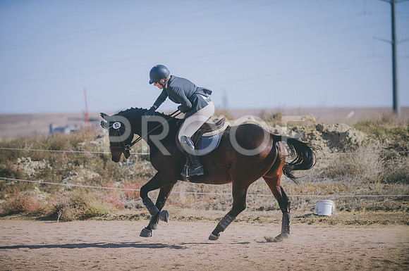 JJS_2797