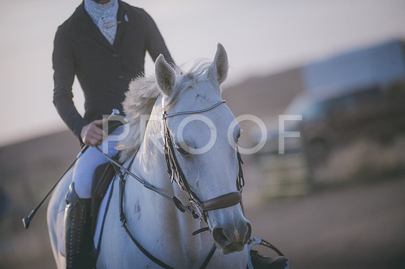 JJS_6716A
