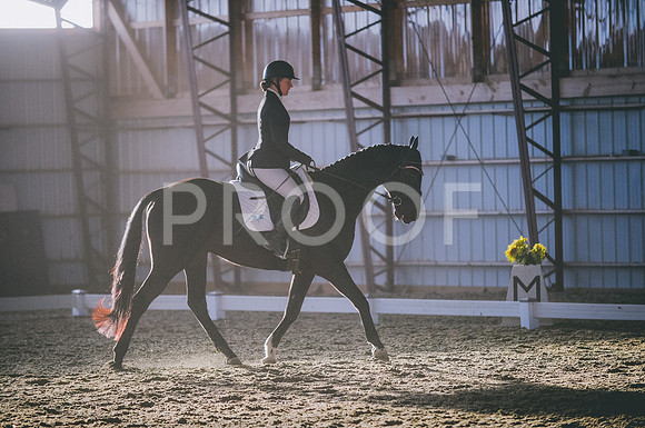 JJS_1117