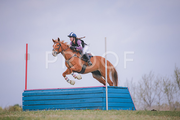 RWP_8833