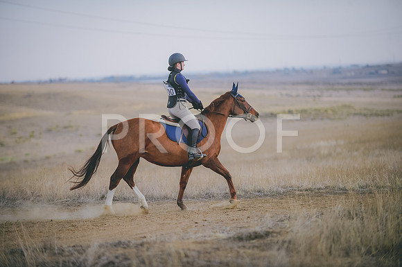 JJS_6285