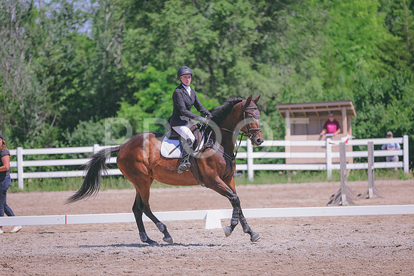 HLJ_8988