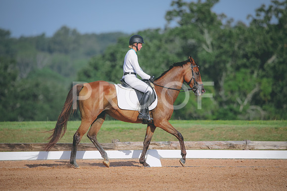 RWP_4476