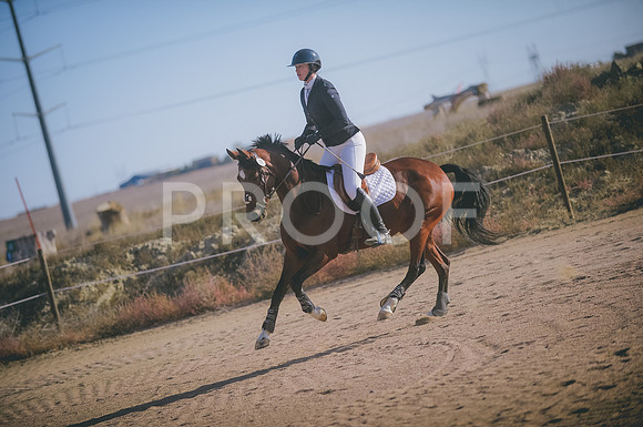JJS_0179