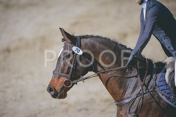JJS_5351