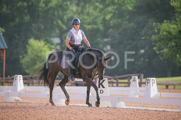 RWP_4239