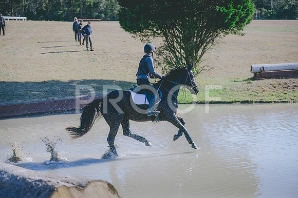 JJS_3421