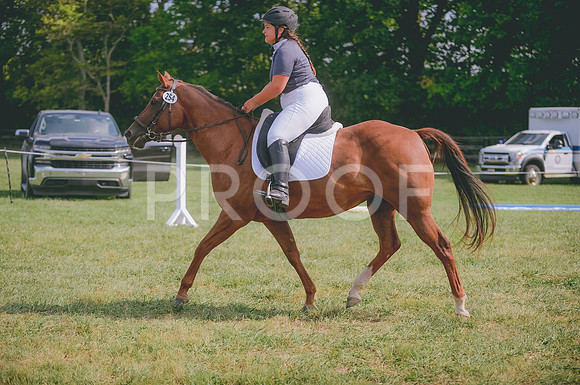 JJS_4931