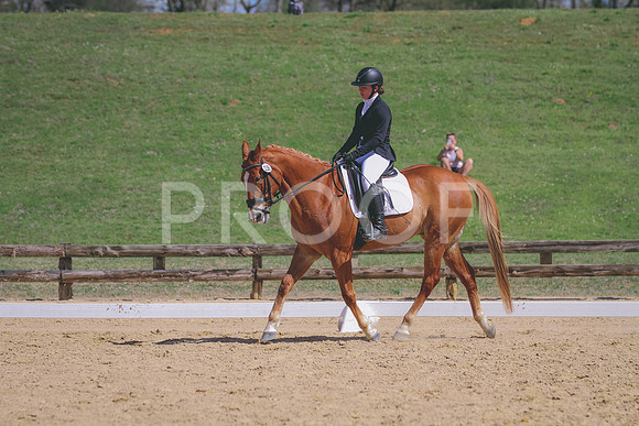 IMG_8005 (2)