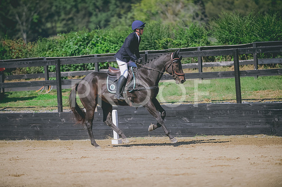 JJS_2811