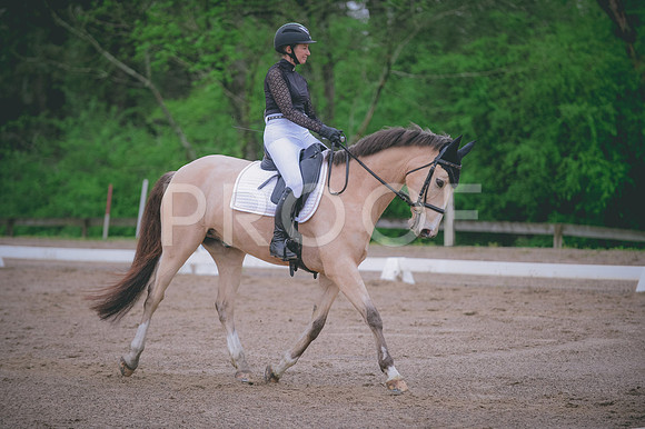 JJS_5201