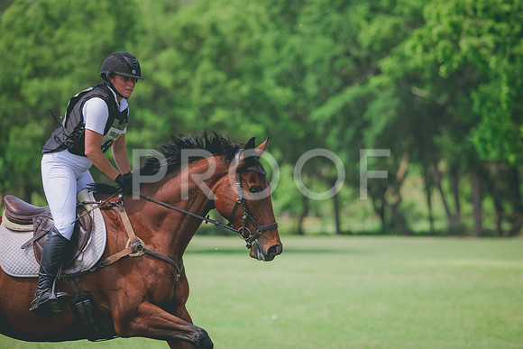 RWP_4600