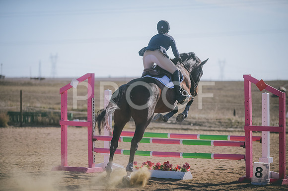 JJS_0634