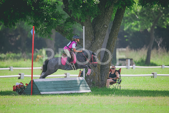 RWP_4341