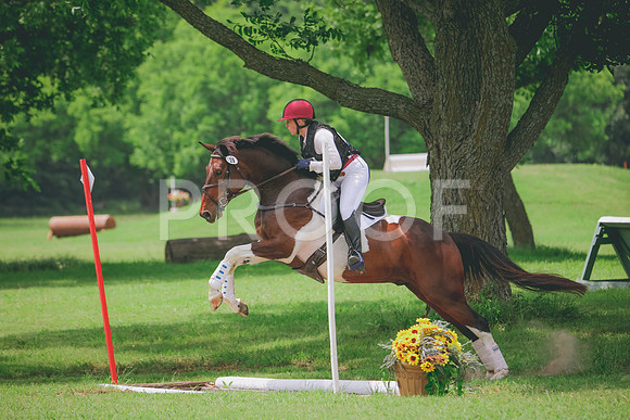 RWP_2084