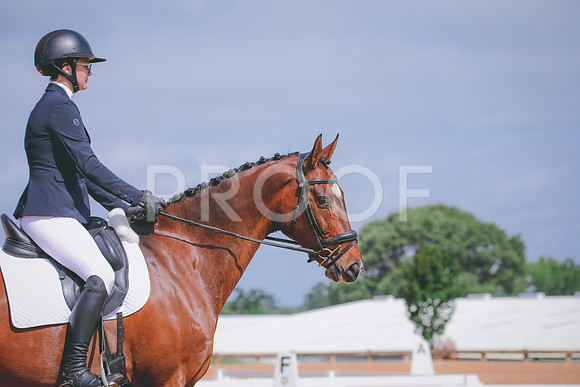 RWP_4095