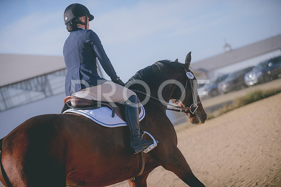 JJS_0713