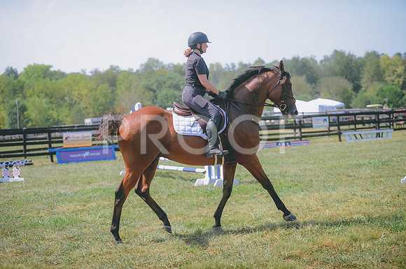 JJS_0728