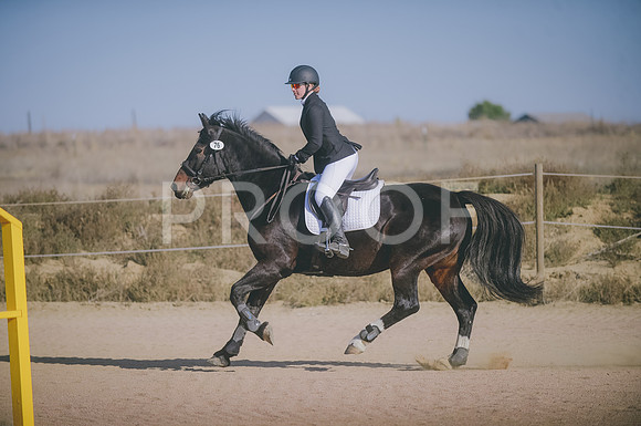 JJS_0741