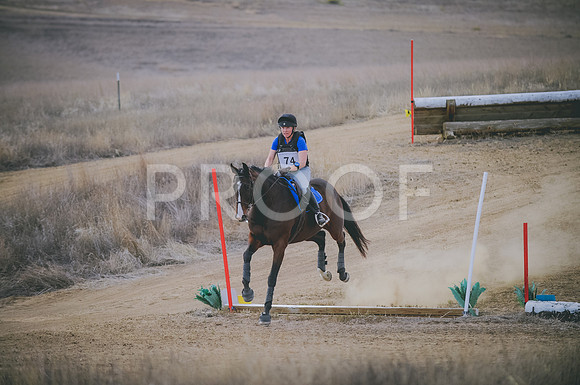 JJS_2228
